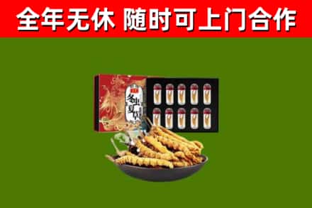 卓尼回收冬虫夏草价格