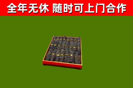 卓尼回收海参